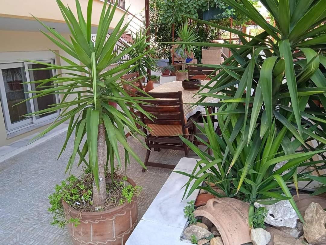 Blue Moon Accommodation نيا ميشانيونا المظهر الخارجي الصورة