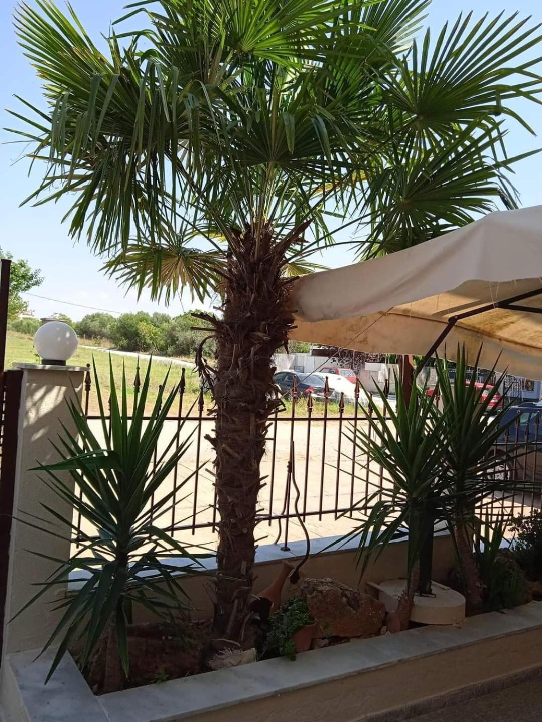 Blue Moon Accommodation نيا ميشانيونا المظهر الخارجي الصورة