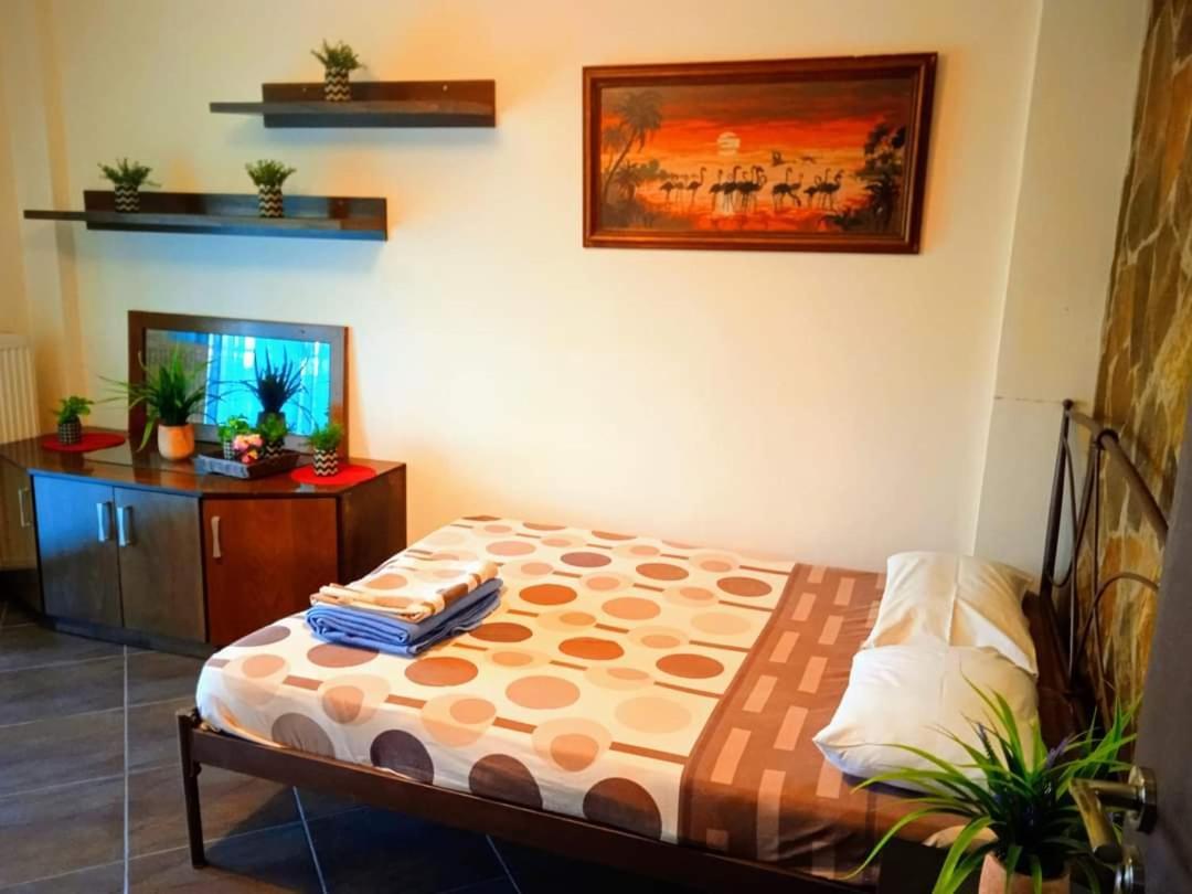 Blue Moon Accommodation نيا ميشانيونا المظهر الخارجي الصورة